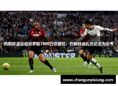 热刺欲满足伯恩茅斯7000万欧要价，巴黎转会扎巴尼案为参考